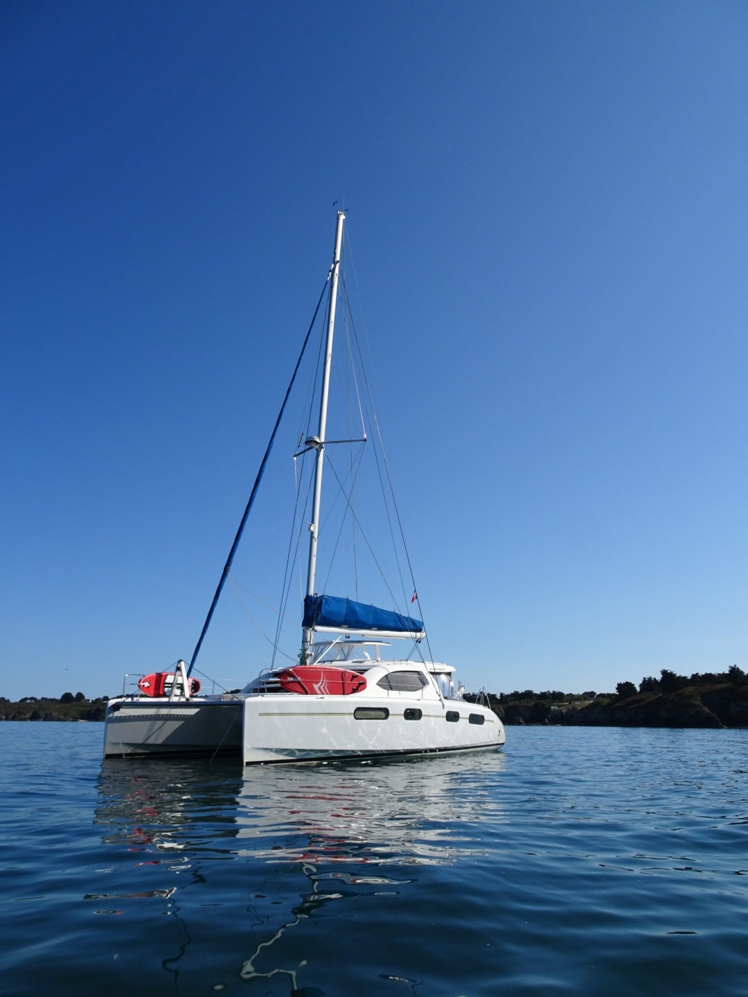 Léopard 46